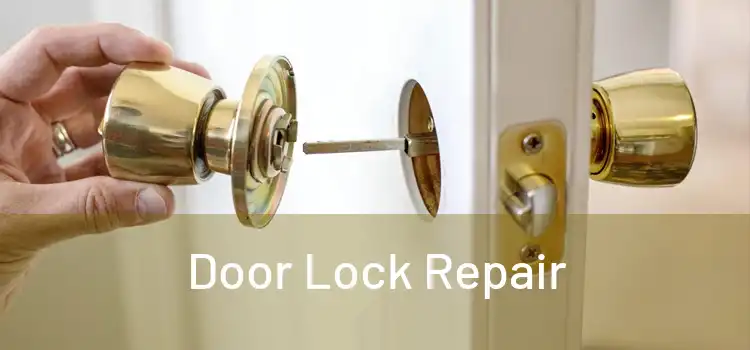 Door Lock Repair