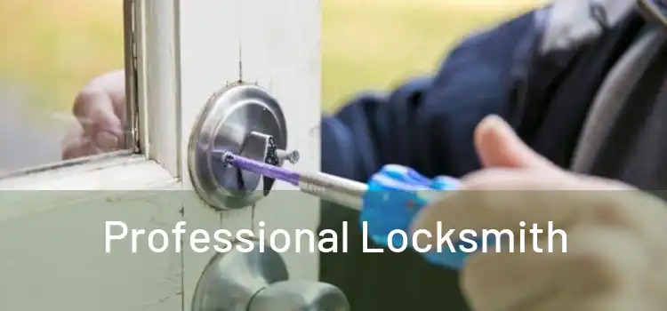  Professional Locksmith 